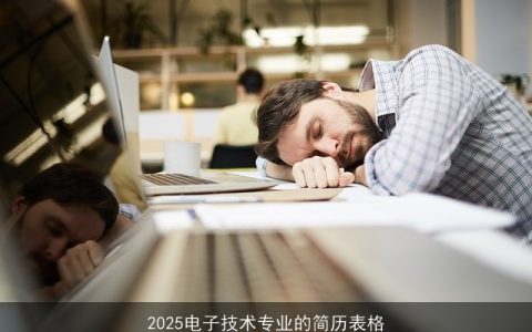 2025电子技术专业的简历表格