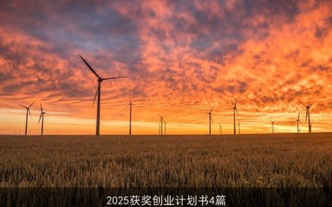 2025获奖创业计划书4篇