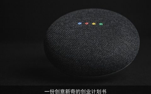 一份创意新奇的创业计划书