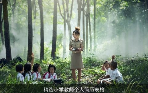 精选小学教师个人简历表格