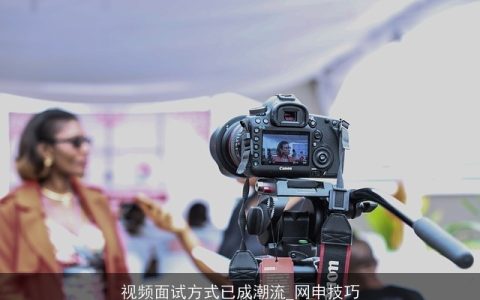 视频面试方式已成潮流_网申技巧