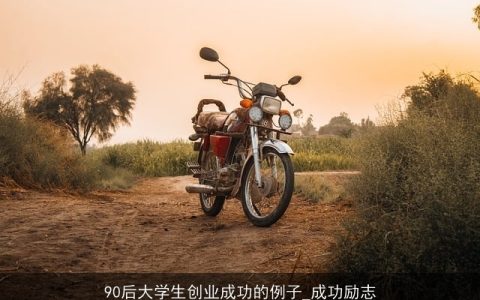 90后大学生创业成功的例子_成功励志