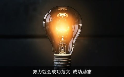 努力就会成功范文_成功励志