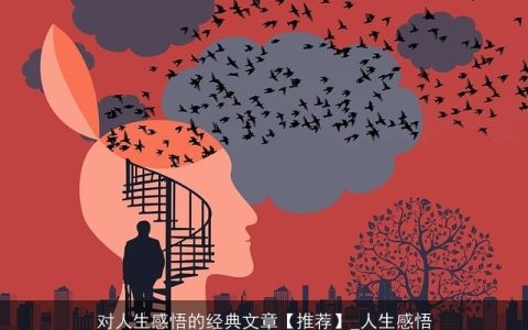 对人生感悟的经典文章【推荐】_人生感悟