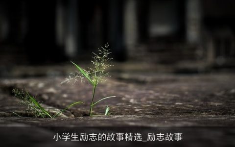 小学生励志的故事精选_励志故事