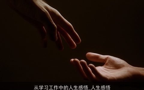 从学习工作中的人生感悟_人生感悟