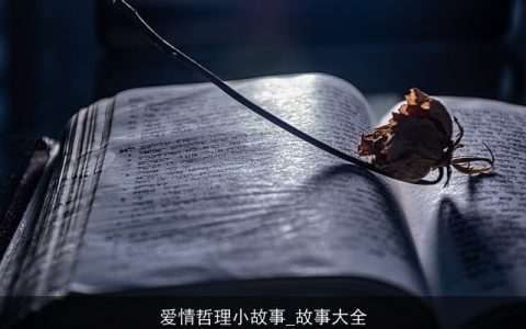 爱情哲理小故事_故事大全
