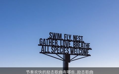 节奏欢快的励志歌曲有哪些_励志歌曲
