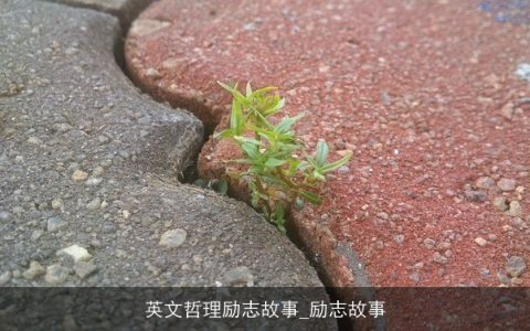 英文哲理励志故事_励志故事