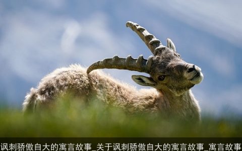讽刺骄傲自大的寓言故事_关于讽刺骄傲自大的寓言故事_寓言故事