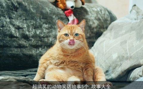 超搞笑的动物笑话故事5个_故事大全