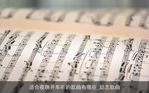 适合夜晚开车听的歌曲有哪些_励志歌曲