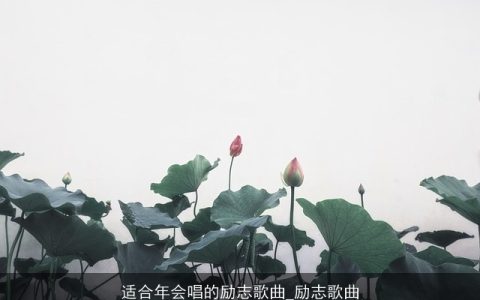 适合年会唱的励志歌曲_励志歌曲