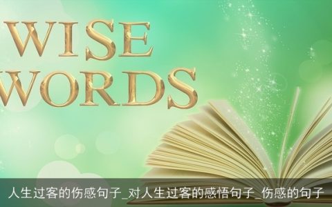 人生过客的伤感句子_对人生过客的感悟句子_伤感的句子