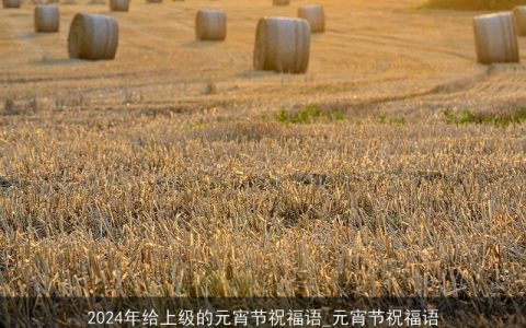 2024年给上级的元宵节祝福语_元宵节祝福语