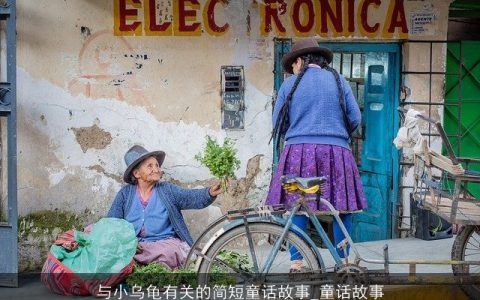 与小乌龟有关的简短童话故事_童话故事