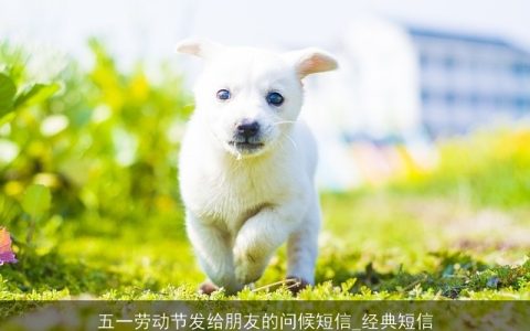 五一劳动节发给朋友的问候短信_经典短信