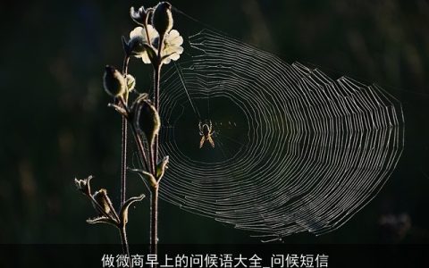 做微商早上的问候语大全_问候短信