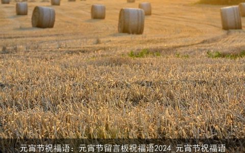 元宵节祝福语：元宵节留言板祝福语2024_元宵节祝福语