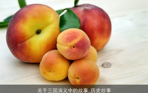关于三国演义中的故事_历史故事