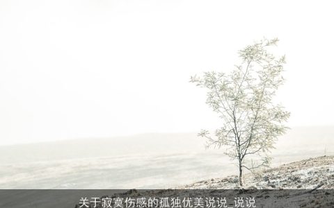 关于寂寞伤感的孤独优美说说_说说