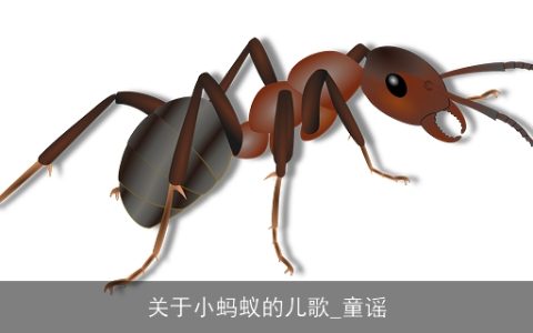 关于小蚂蚁的儿歌_童谣