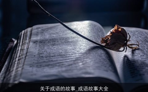 关于成语的故事_成语故事大全