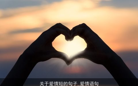 关于爱情短的句子_爱情语句