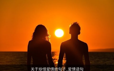 关于珍惜爱情的句子_爱情语句