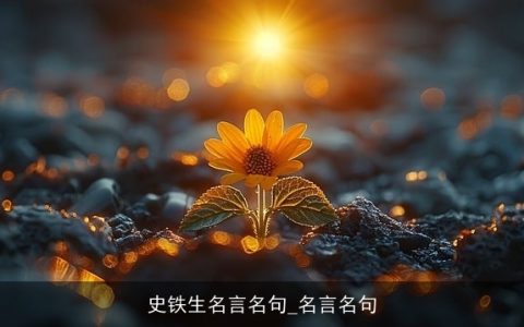 史铁生名言名句_名言名句