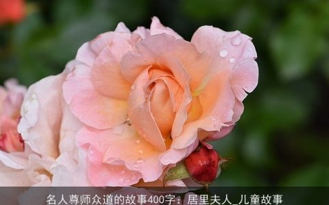 名人尊师众道的故事400字：居里夫人_儿童故事