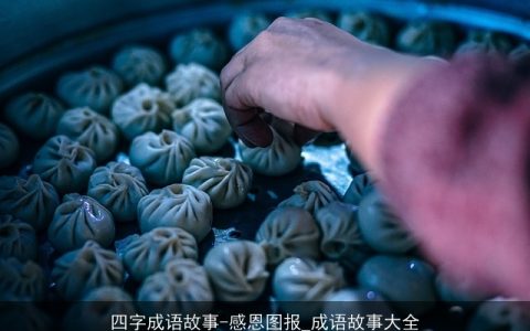 四字成语故事-感恩图报_成语故事大全