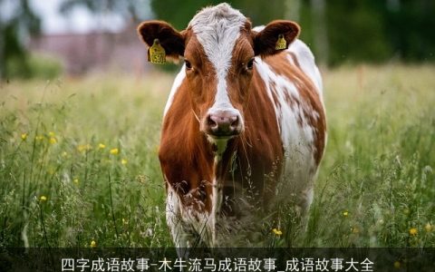 四字成语故事-木牛流马成语故事_成语故事大全