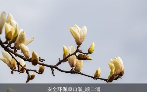 安全环保顺口溜_顺口溜