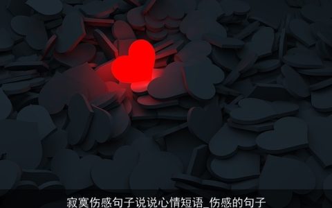 寂寞伤感句子说说心情短语_伤感的句子