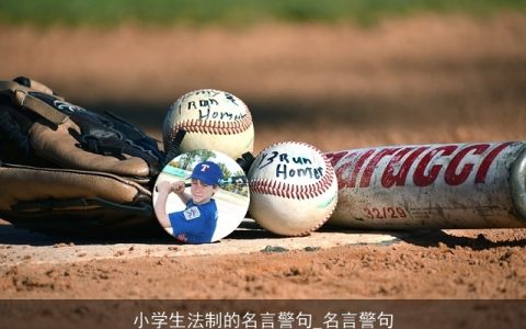 小学生法制的名言警句_名言警句