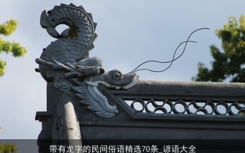 带有龙字的民间俗语精选70条_谚语大全