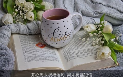 开心周末祝福语句_周末祝福短信