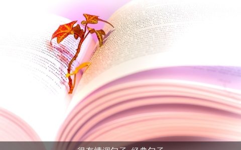 很有情调句子_经典句子