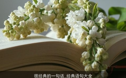 很经典的一句话_经典语句大全