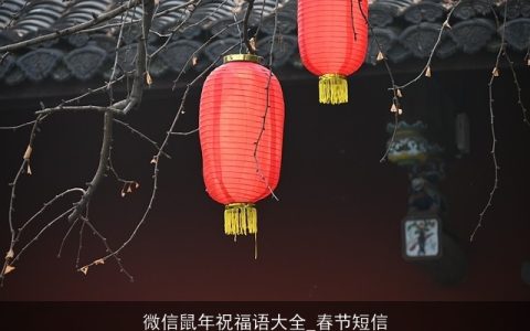 微信鼠年祝福语大全_春节短信