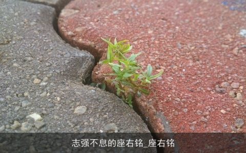 志强不息的座右铭_座右铭