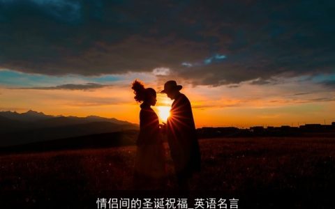 情侣间的圣诞祝福_英语名言