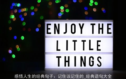 感悟人生的经典句子：记住该记住的_经典语句大全