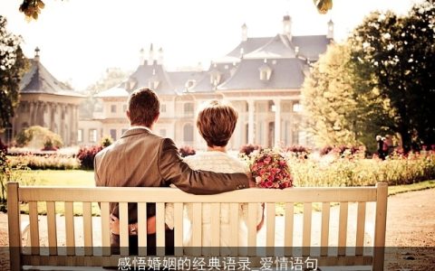 感悟婚姻的经典语录_爱情语句