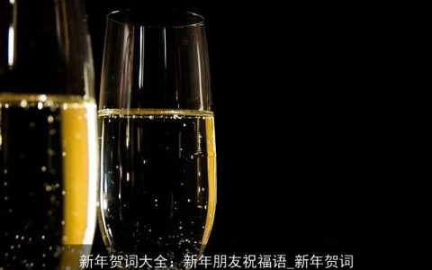新年贺词大全：新年朋友祝福语_新年贺词