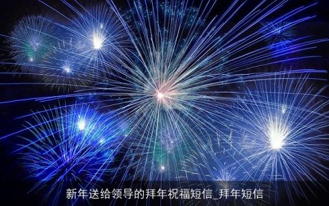 新年送给领导的拜年祝福短信_拜年短信
