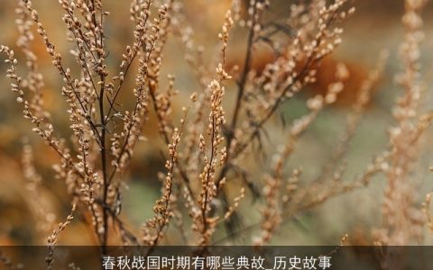 春秋战国时期有哪些典故_历史故事