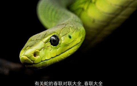 有关蛇的春联对联大全_春联大全