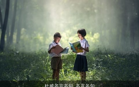 杜威名言名句_名言名句